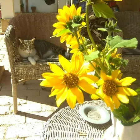 Monolocali In Casale Con Piscina - Recintati Per Animali Senigallia