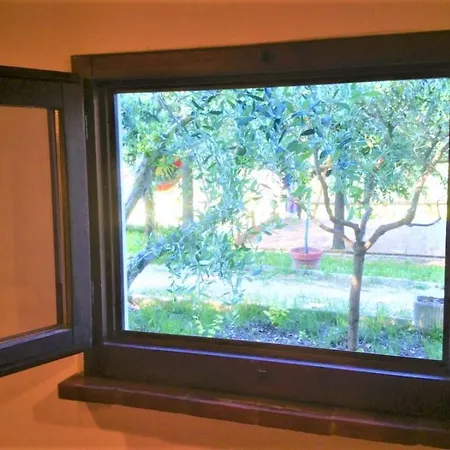 Apartment Monolocali In Casale Con Piscina - Recintati Per Animali Senigallia
