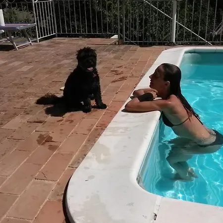 Monolocali In Casale Con Piscina - Recintati Per Animali *
